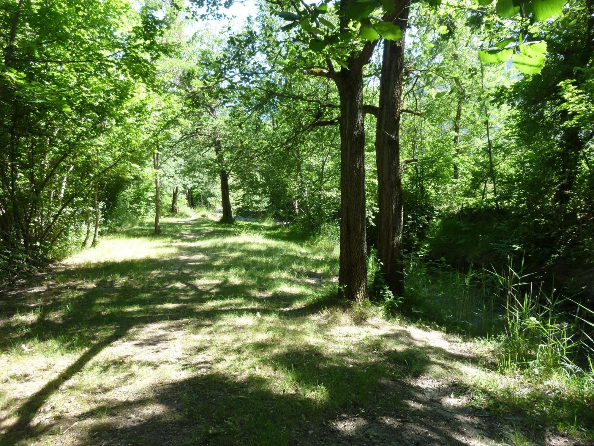 Camping Notre Dame Castellane Exteriör bild